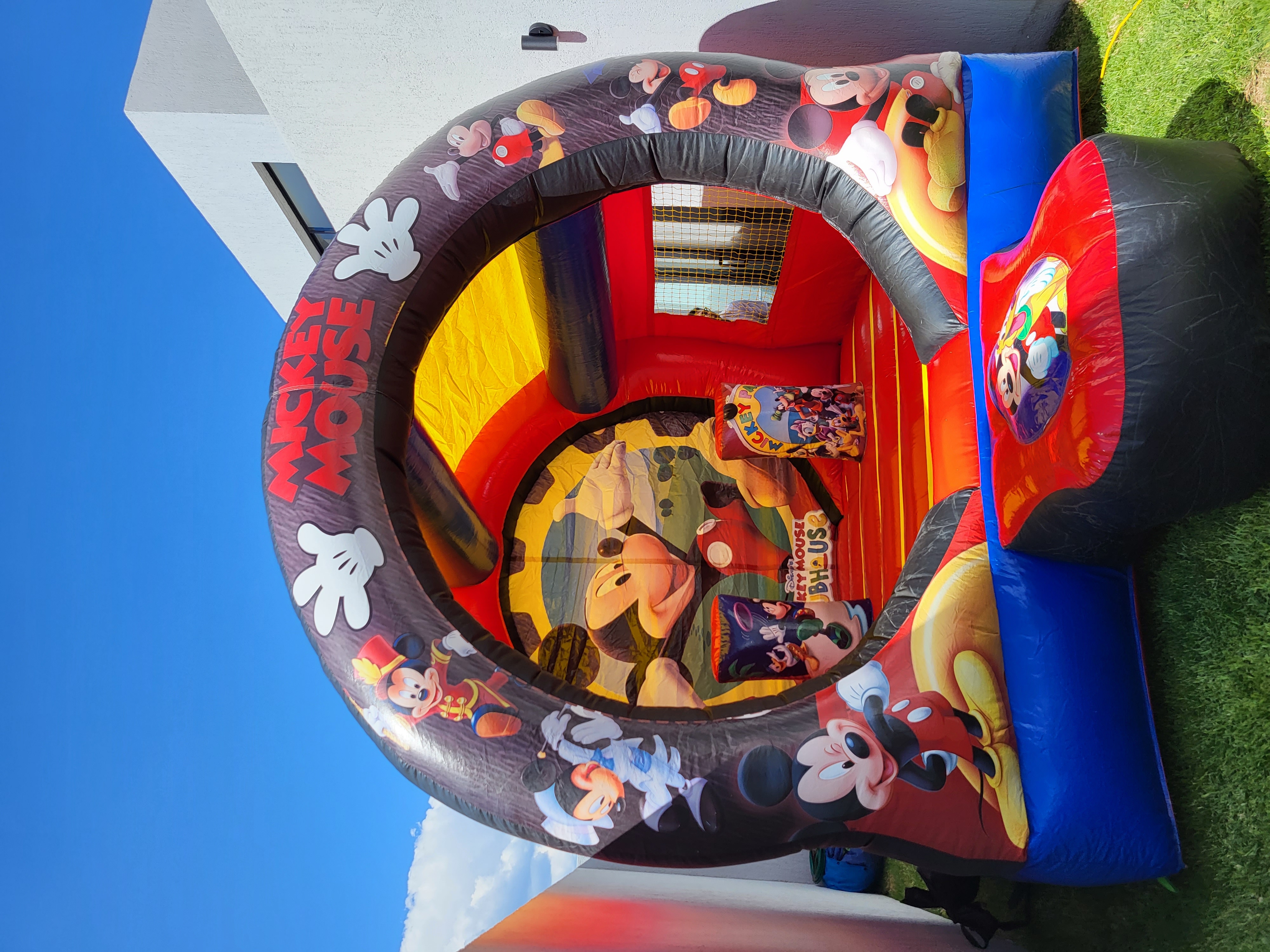 Mickey Circular